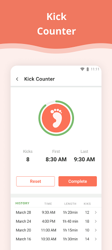 Pregnancy App PC