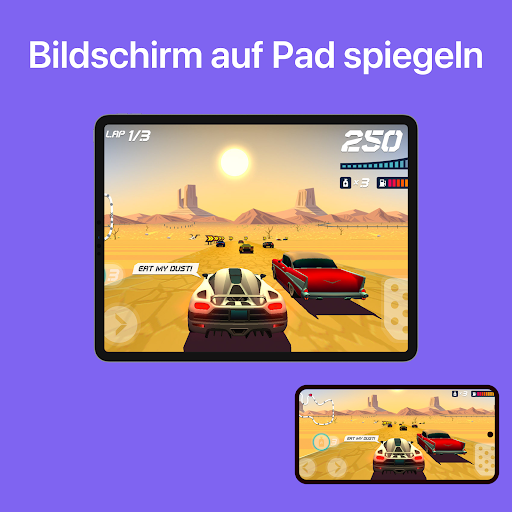 EasyCast  Bildschirmspiegelung PC