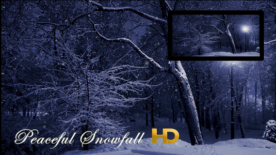 Peaceful Snowfall HD PC