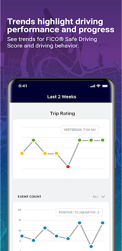Mentor DDP by eDriving℠ PC