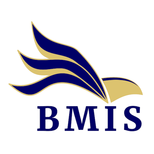 BMIS PC