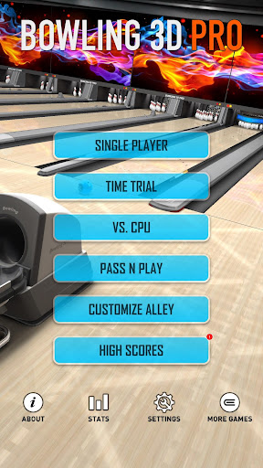 Bowling 3D Pro PC