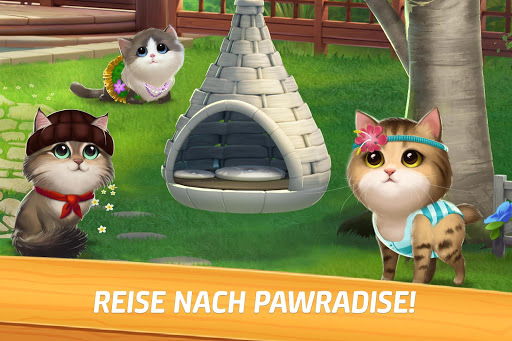 Miau 3-Gewinnt PC