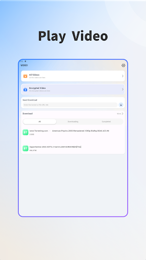 Video Encryption Player PC