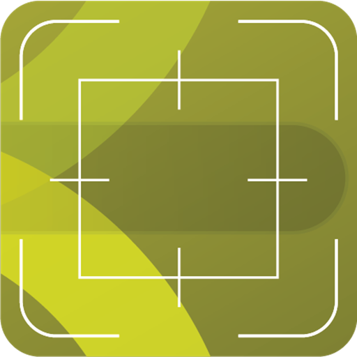 Peyronie’s Self-Assessment