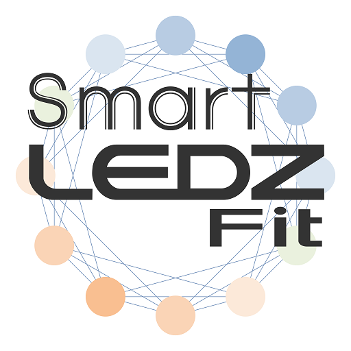 Smart LEDZ Fit PC版