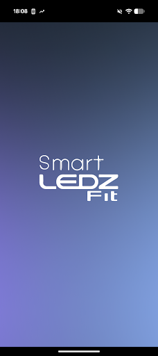 Smart LEDZ Fit PC版
