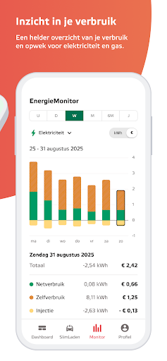 Eneco Smart Meter PC