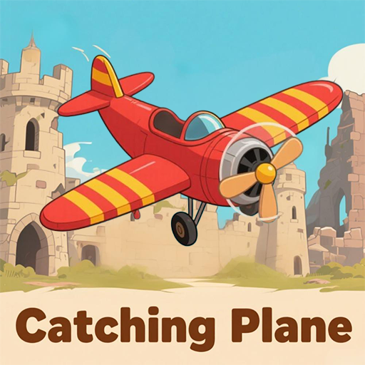 Catching Plane