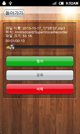고급 음성 레코더 PC