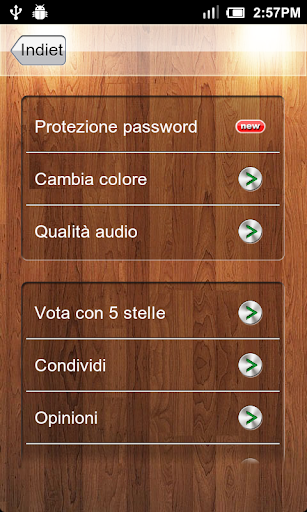 Registratore vocale PC