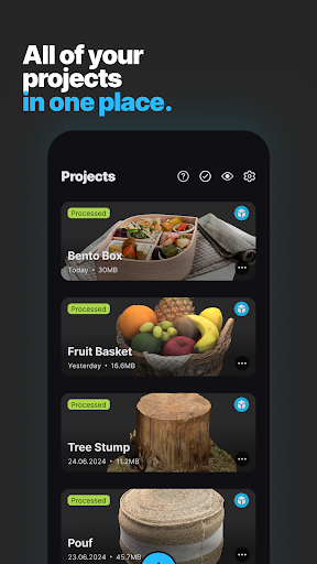 RealityScan Mobile PC