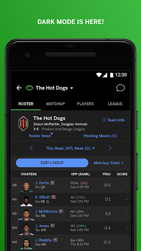 ESPN Fantasy Sports