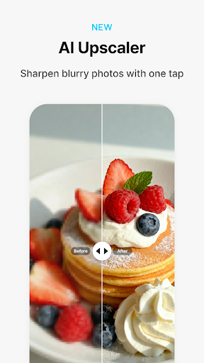 PICNIC-AI Photo & Sky Filters পিসি