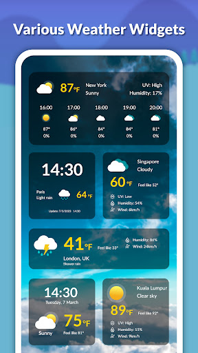 Live weather: Forecast, widget ?? ??