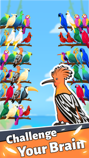 Bird Puzzle PC