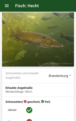 Fischroute PC