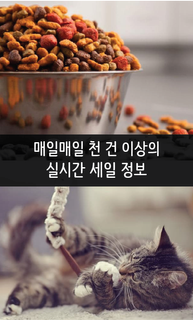 댕냥이 세일정보(강아지,고양이,반려동물 특가 정보) PC