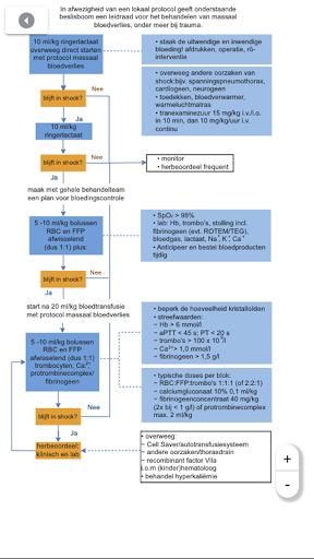 Spoedeisende hulp bij kinderen PC