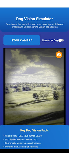 Dog Vision: See Like Your Dog PC