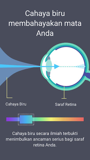 Filter Cahaya Biru: Mode Malam PC