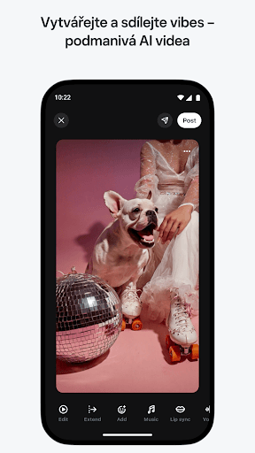 Meta AI - Vibes & AI Glasses PC