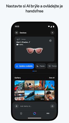 Meta AI - Vibes & AI Glasses PC