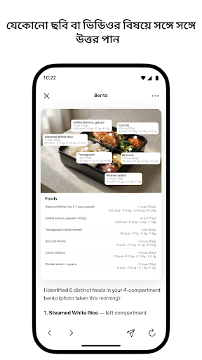 Meta AI পিসি