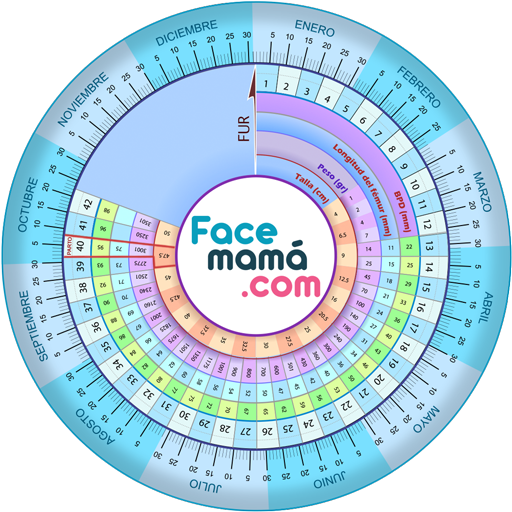 Gestograma - Embarazo Facemamá پی سی