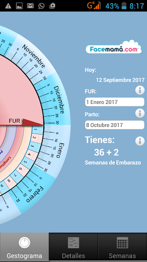 Gestograma - Embarazo Facemamá PC