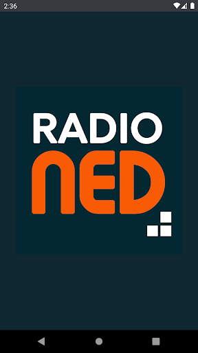 radio NED PC