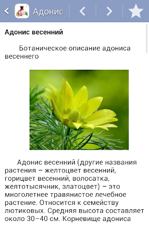 Травник. Часть1 ПК