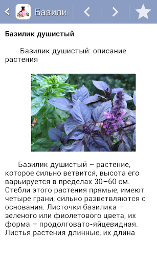 Травник. Часть1 ПК