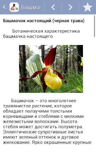 Травник. Часть1 ПК