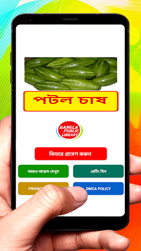 পটল চাষের সঠিক পদ্ধতি PC