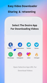 Easy Video Downloader PC