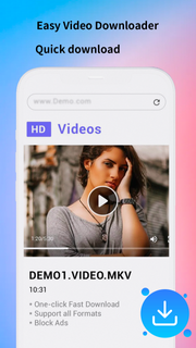 Easy Video Downloader PC
