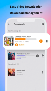 Easy Video Downloader PC