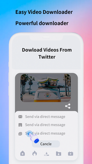Easy Video Downloader PC