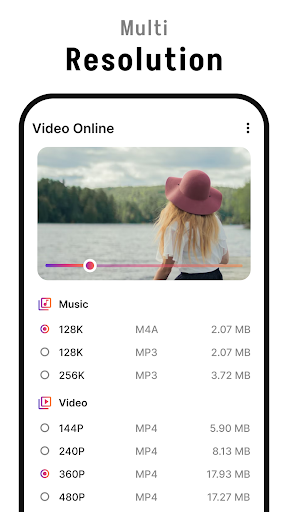 Video Downloader PC