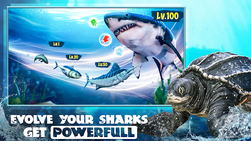 komputer Shark Attack: Hungry Fish Game