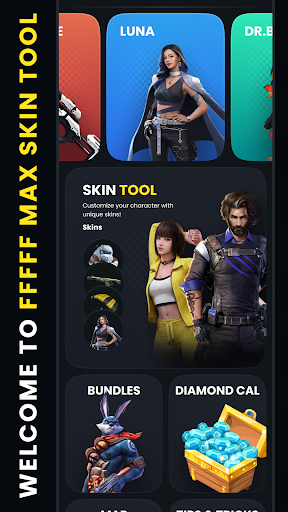 FFFFF Max Skin Tool PC