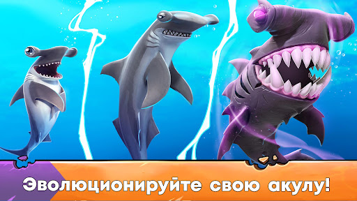 Hungry Shark Evolution