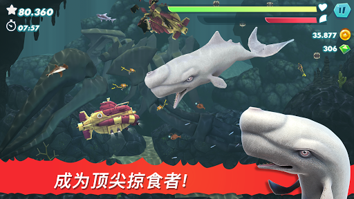 Hungry Shark Evolution电脑版