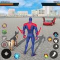 Rope Hero Fighter City 3D پی سی