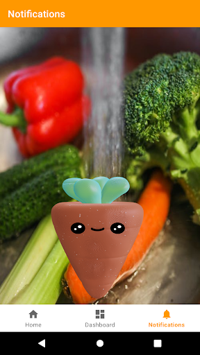 Carrot Anim