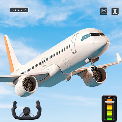 Flight Simulation Games PC