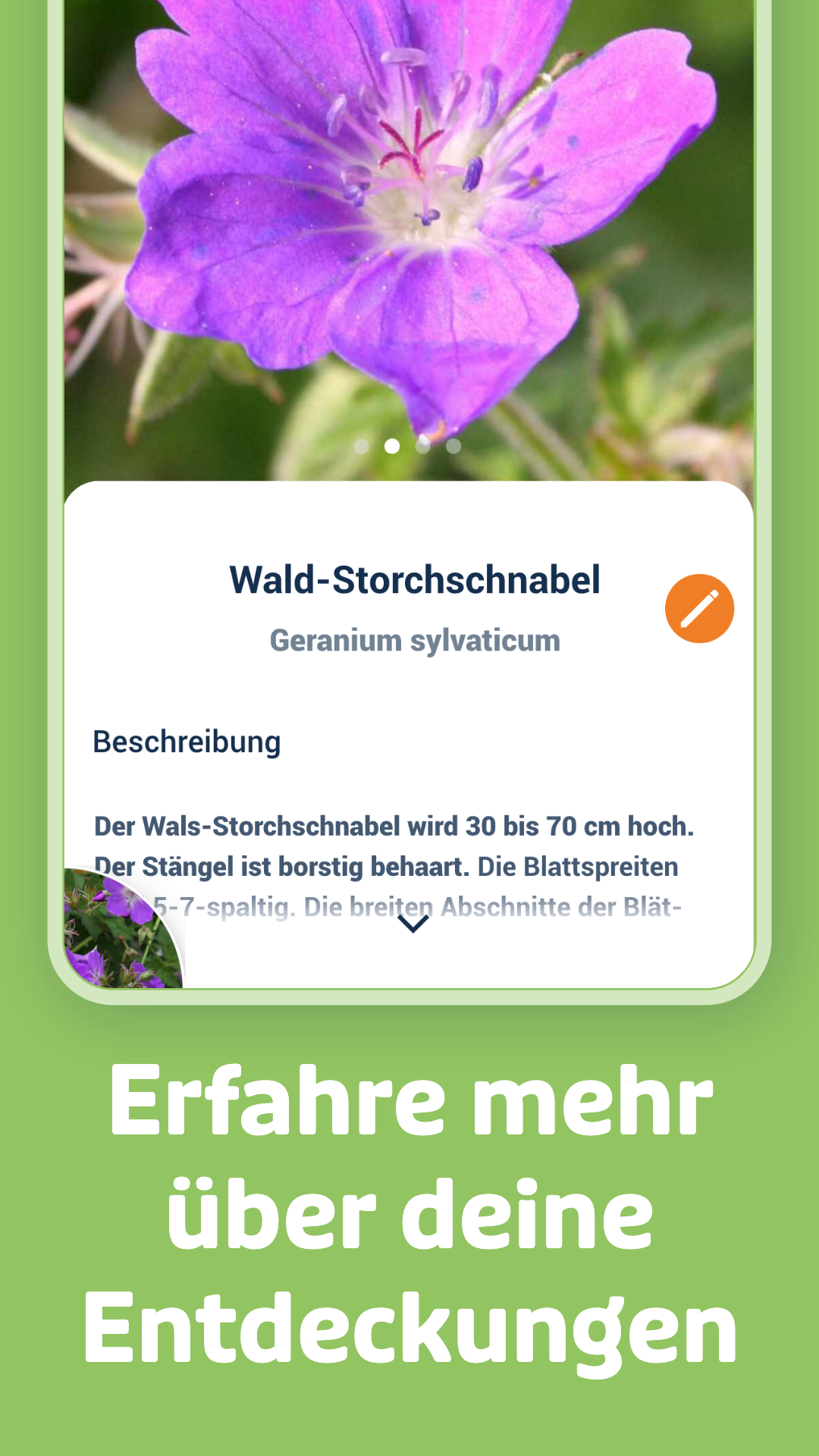 Flora Incognita - automatische Pflanzenbestimmung PC