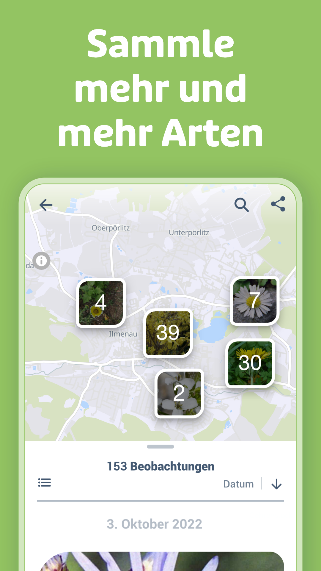 Flora Incognita - automatische Pflanzenbestimmung PC