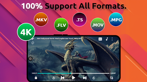 FLV Video Player - mVid Player PC